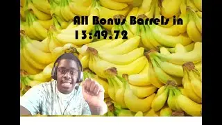 Donkey Kong Country: Barrel Maze All Bonus Barrels Speedrun in 13:49.72