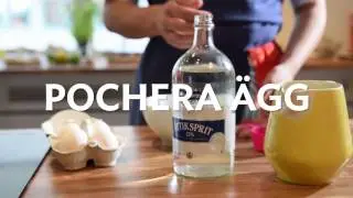 Pochera &auml;gg