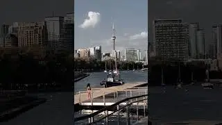 Toronto life, Downtown Toronto, Ontario, Canada 4K #toronto #downtowntoronto #travel #ontario