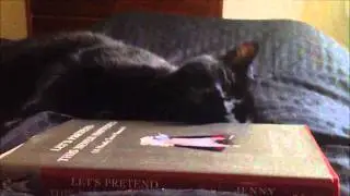 Priss loves the Bloggess