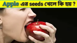 Apple এর seeds খেলে কি হয় ? what if you eat apple seeds | Amazing facts in bengali || EP #6