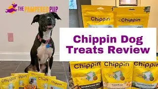 Chippin Dog Treats Reviews