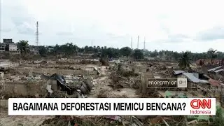 Deforestasi dan Cuaca Ekstrem, Pemicu Bencana di Indonesia?