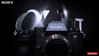 Sony A1 ii -  Unrivaled