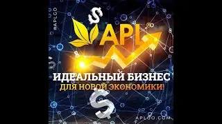 КАК ВЫБРАТЬ СЕТЕВУЮ КОМПАНИЮ  APL GO!