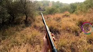 Partridge Season 2021 Memories