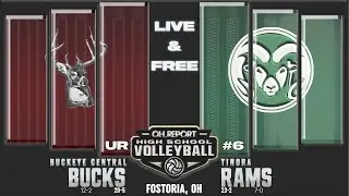 UR Buckeye Central (20-5) vs #6 Tinora (23-2) - D6 Volleyball Regional Semifinal