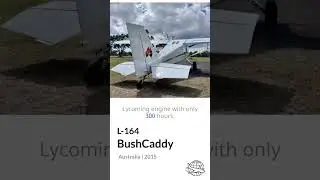 2015 Bushcaddy L-164 4-Seat Touring Tailwheel FOR SALE - Bush-Ready Adventure!