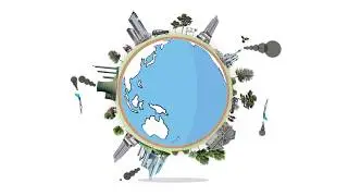 Mangroves Matter