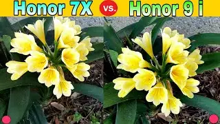 HONOR 7X Vs HONOR 9 i : Best Camera Comparison