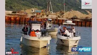 TG FIPSAS 2018 - 09