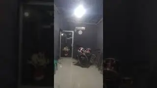 REGEN STUDIO