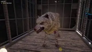 Farcry 5 AMD 6670HD Gameplay