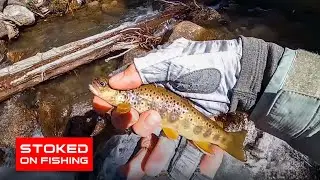 Exploring the Sierras: Bishop Creek Fishing