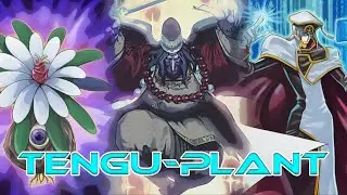 Tengu Plant Deck - January 2015