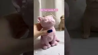 DIY &lsquo;Cat&rsquo; Candle ASMR✨🕯️🐈#candle #candles #candlemaking #diy #candlebusiness #cat #eco #diycandle