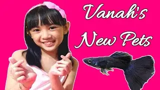 Vanah's New Pets | DiscoveringWithVanah