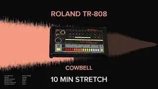 Roland TR-808 Cowbell (10 MINUTES)