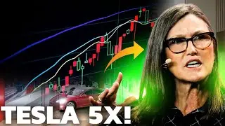 ARK Invest Is EXTREMELY Bullish On Tesla Stock | Target $4,600 (BUY SIGNAL?)