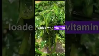 If you eat spinach everyday
