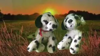 Cotty and Lotty fun’s the aim animation #CottyandLottyfun’stheaim  #dalmatiansplay