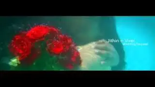 Heart Touching marriage Proposal in Under Water