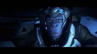 Destiny 2, Blizzard Entertainment  Video