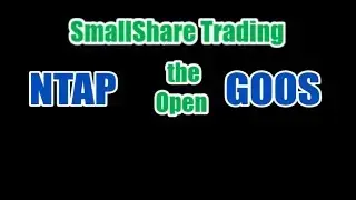 day trading the open $NTAP $GOOS