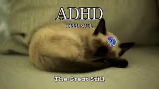 1 Hour ADHD Focus Protocol: Sleeping Cat Visuals & 528Hz Neural Alignment (No Music / Pure Tone)