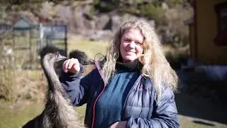 VOFF #3: Emu på Huglo