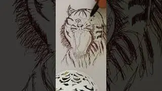 tutorial menggambar macan