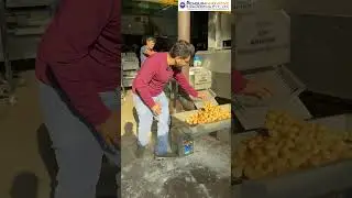 Bullet Panipuri Fryer Machine | PaniPuri Fryer Machine | Bullet Fryer machine