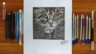 HOW TO DRAW HYPER REALISTIC CAT FOR BEGINNERS | FURTHER DRAWING TECHNIQUE - YOUTUBE ✍️