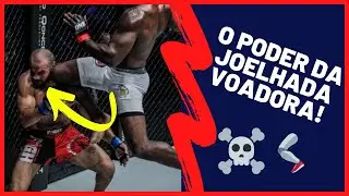 O poder da joelhada voadora/The power of fly knee! - tecnica de kickboxing e muay thai usadas no MMA