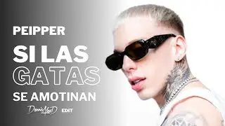 Peipper, Doble p, Locura mix - Si Las Gatas Se Amotinan (Dennis AlexD edit)