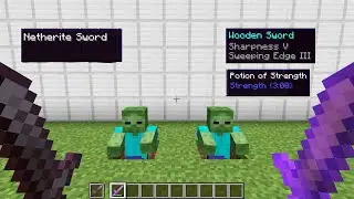 Netherite Sword VS Sharpness 5 + Sweeping Edge 3 + Potion of Strength