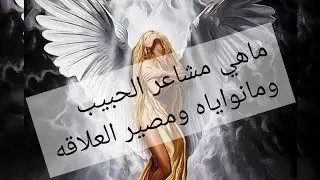 حسب برجكم أو الحرف الأول من اسم الحبيب مشاعره نواياه ومصير العلاقه +نصيحة الملائكة
