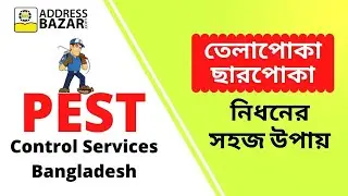 Best pest control service providers in Dhaka BD
