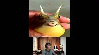 Amazing Animal Growth Journey #animals #funny #cute