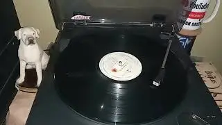 LOS  BETA   5  (PER&Uacute;)  -   REGRESA   (Vinilo) Bolero 