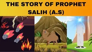 The Story of Prophet Salih(A.S)|# Salih(A.S) & Thamud | Prophets |Kids Islamic world|📚📑
