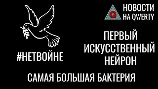 #НЕТВОЙНЕ. Искусственный нейрон. Распределённые вычисления. Бактерия на 2см. Новости QWERTY №205