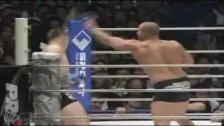 Fedor  Emelianenko The Mark of a Lion