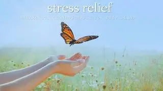 Healing Music for Stress Relief , Relaxation Calming Music for Deep Sleep