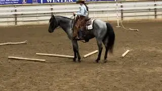 Azul Star: Ranch Trail at the AQHA Legendary Labor Day show 2024
