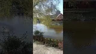 velika plana serbia