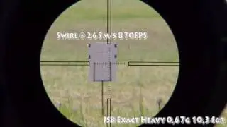 Cometa Lynx V 10 Pellet Test