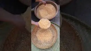 How to make corn flour at home #cornflour #mycountrylife #rularlife #shorts