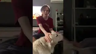 Autism Awareness and Acceptance Month Day 3.  My Struggles with Small Talk