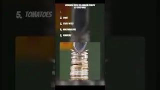 The Most Satisfying Crush You&rsquo;ll See Today (ASMR!)